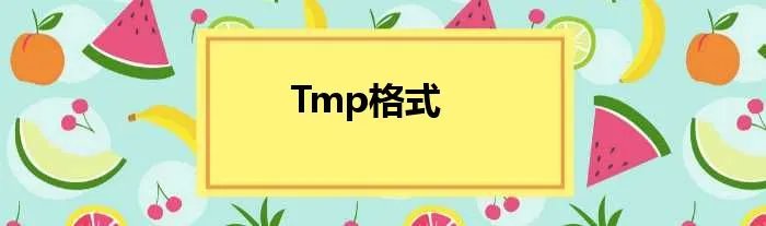 Tmp格式