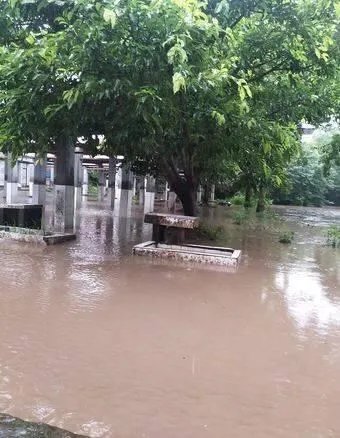 11省暴雨黄色预警都有哪些地区？