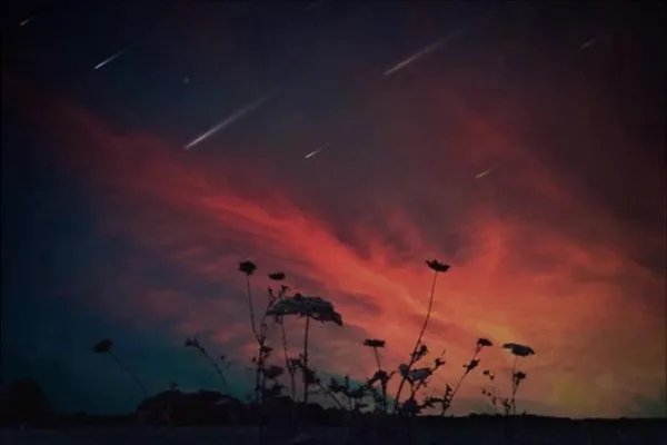 天枰座女和什么星座最配？