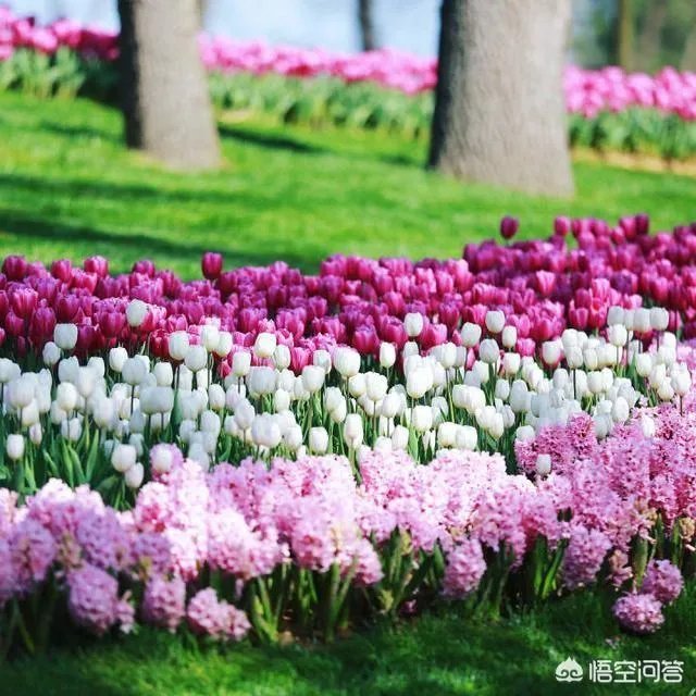 朱婷微博晒休假旅行照，评论区巴西球迷用国旗示爱，你怎么看？