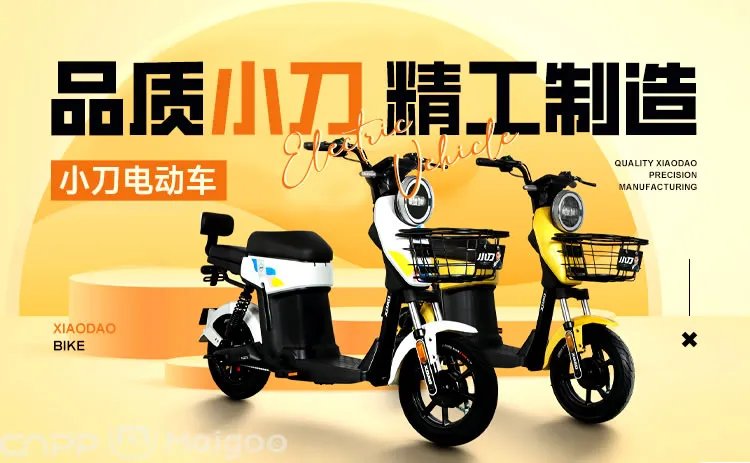 品牌榜：2023年电动车十大品牌排行榜 投票结果公布【新】