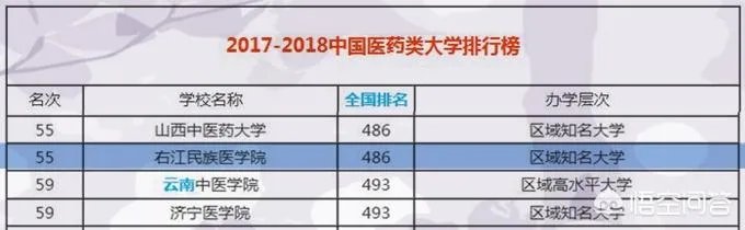广西右江民族医学院是一所什么层次的医科大学？