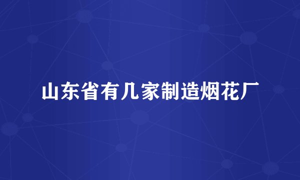 山东省有几家制造烟花厂