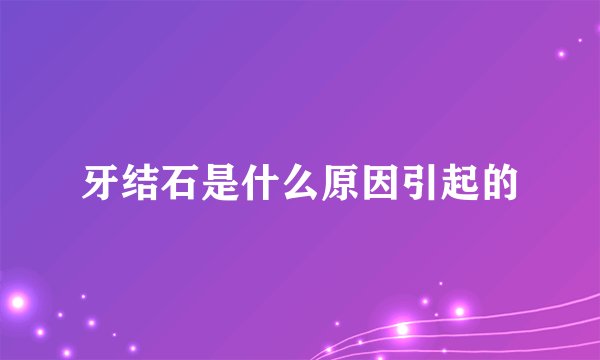 牙结石是什么原因引起的
