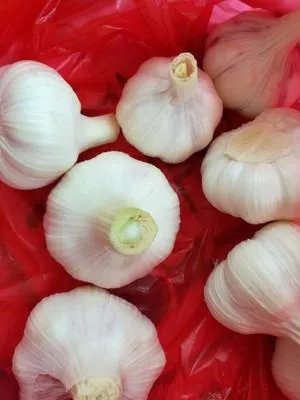 怎么做好吃 糖蒜最正宗的做法