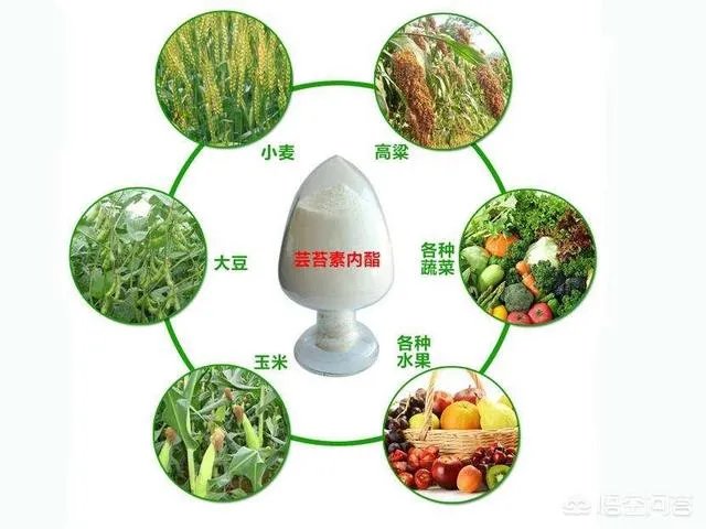 植物防冻剂属于什么类型的农药？