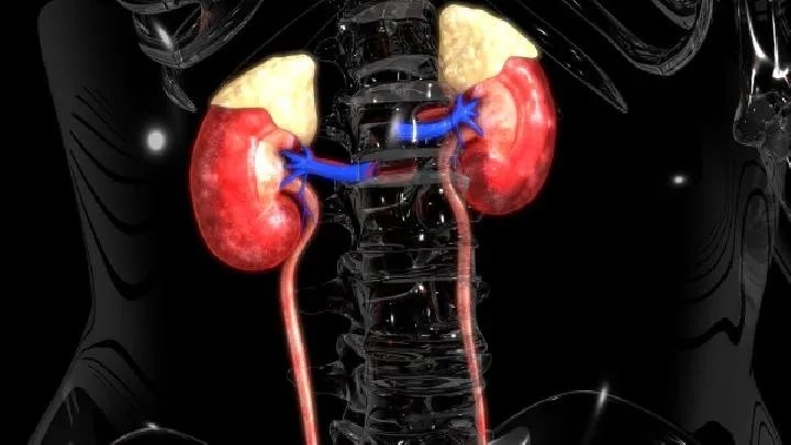 肾结石的治疗方法是什么