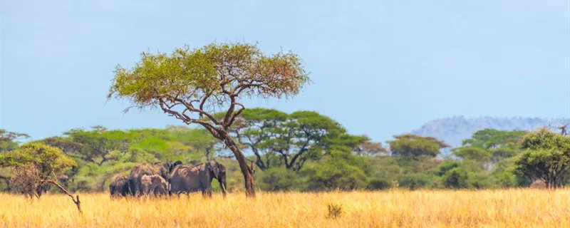刚果是哪个国家 刚果是哪里