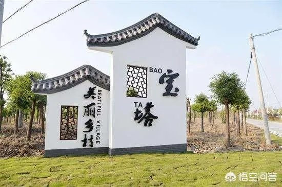 央视网评娱乐歪风