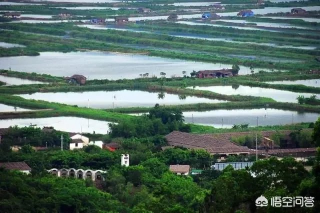 谁简单介绍一下珠海横琴新区？