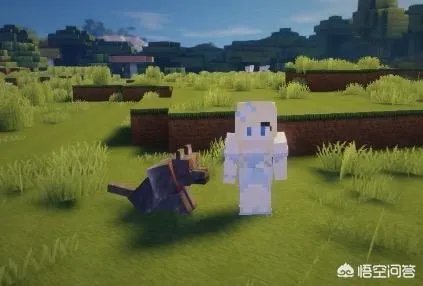 我的世界粉鱼？