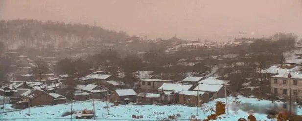 树先生解析细思极恐看了三遍 可是被这个社会逼了