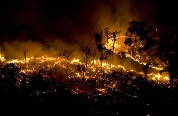 亚马逊雨林烧了3个星期，什么原因导致雨林燃烧？