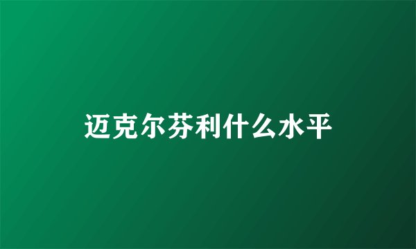 迈克尔芬利什么水平