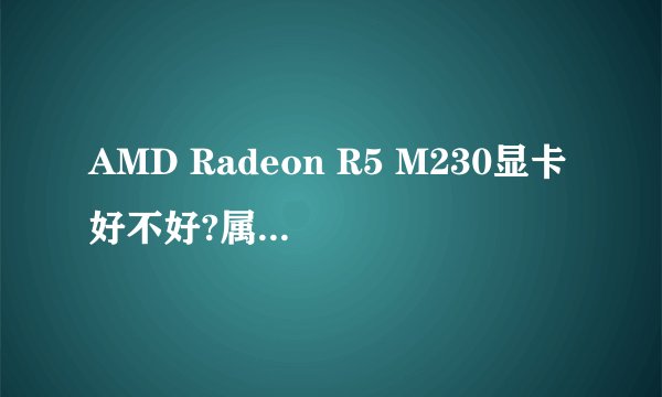 AMD Radeon R5 M230显卡好不好?属于什么级别的