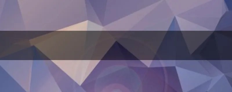 上海动物园熊吃人最后怎么处理的？