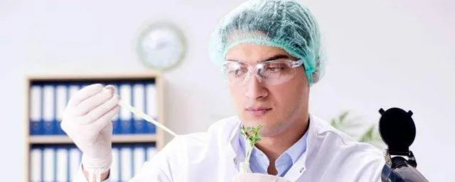 scientist是什么意思