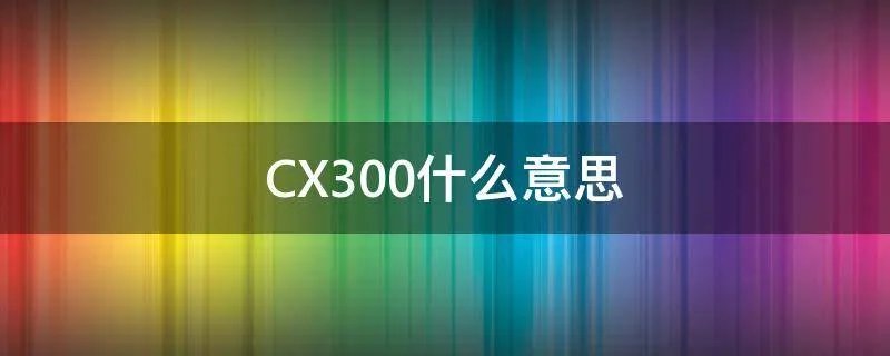 CX300什么意思