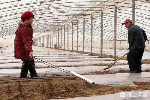 农民怎样才能发家致富?哪里的农民最赚钱？