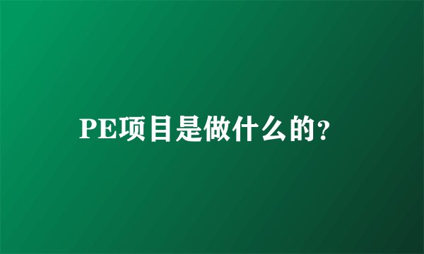 PE项目是做什么的？