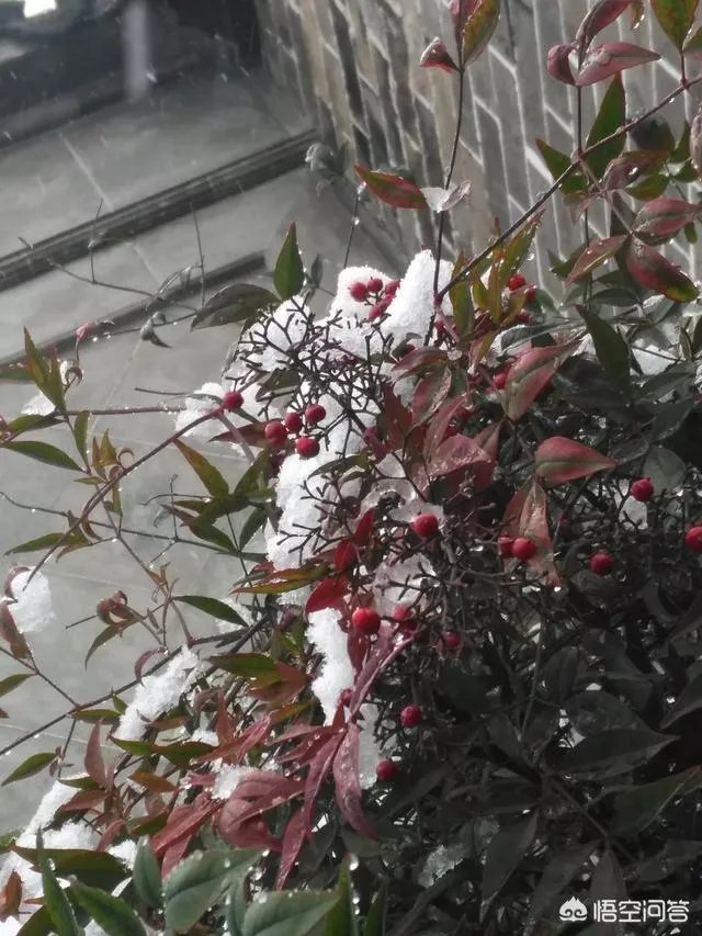 为什么苏州那么多黑中介？