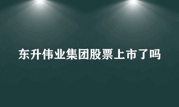 东升伟业集团股票上市了吗