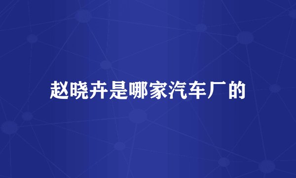 赵晓卉是哪家汽车厂的
