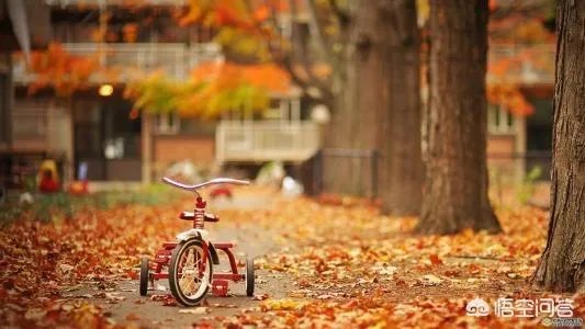 美文在今日头条里属于哪个领域？