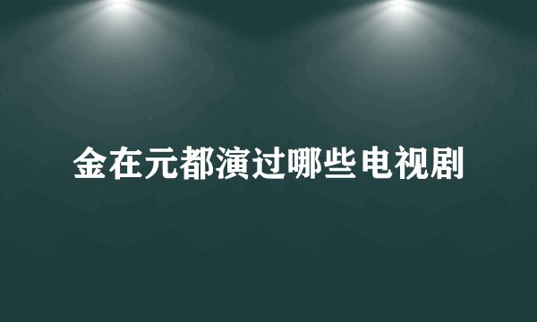 金在元都演过哪些电视剧