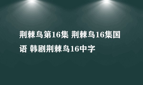荆棘鸟第16集 荆棘鸟16集国语 韩剧荆棘鸟16中字