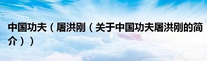 中国功夫（屠洪刚（关于中国功夫屠洪刚的简介））