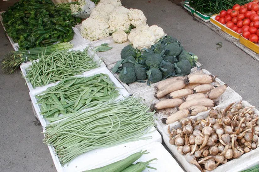 碱性食物有哪些