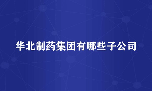 华北制药集团有哪些子公司