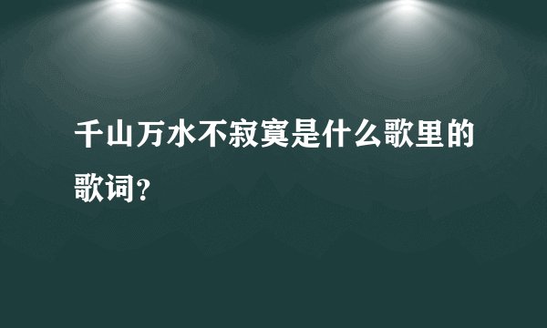 千山万水不寂寞是什么歌里的歌词？