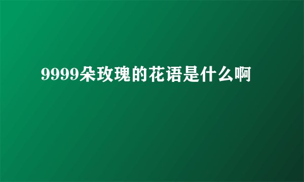 9999朵玫瑰的花语是什么啊
