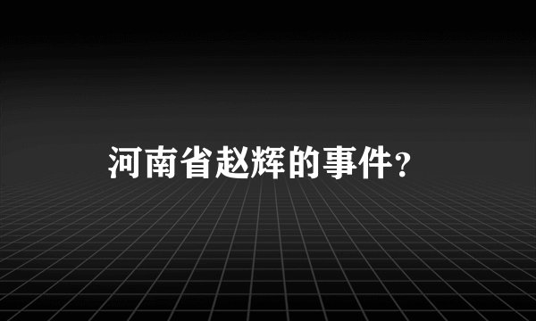 河南省赵辉的事件？