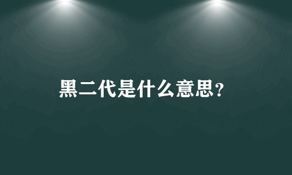 黑二代是什么意思？