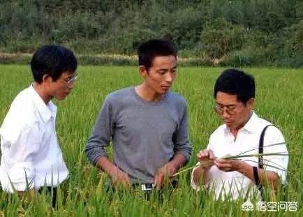 农业技术员前途如何？急？