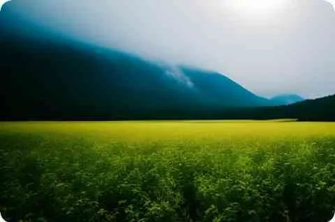 鼻句加起来怎么念