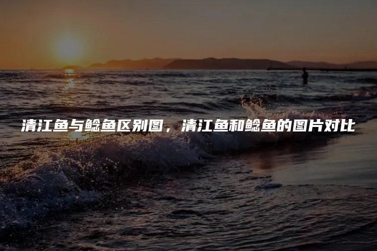 清江鱼与鲶鱼区别图，清江鱼和鲶鱼的图片对比