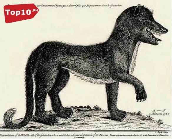 死亡之虫显真身！全球十大震惊世界的神秘怪兽