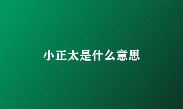 小正太是什么意思