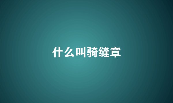 什么叫骑缝章
