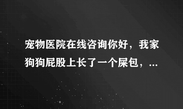 宠物医院在线咨询你好,我家狗狗屁股上长了一个屎包,有鸡蛋那么大