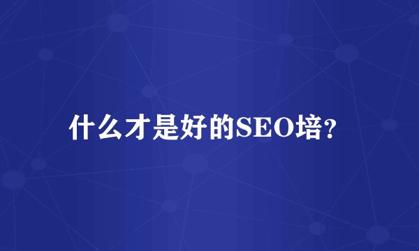 什么才是好的SEO培？