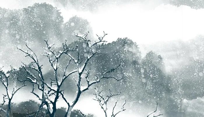 暴雪黄色预警是什么级别