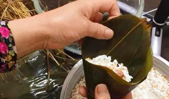 包粽子的制作过程