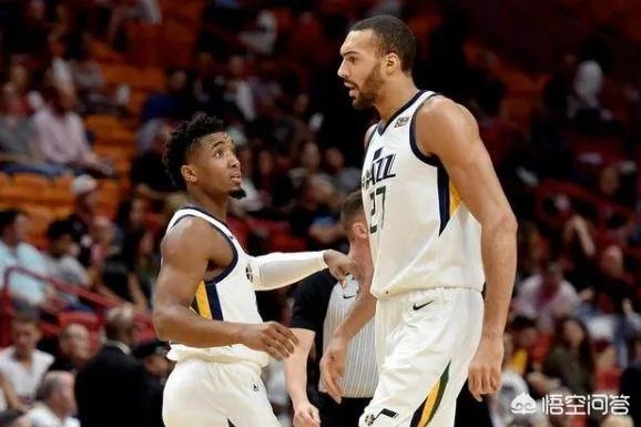 在确诊之后，戈贝尔主动捐款50万美元为抗击疫情，你是如何看待他态度的转变？