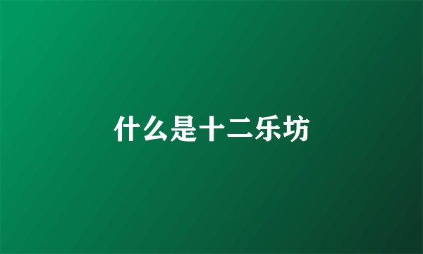 什么是十二乐坊