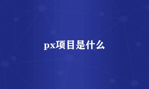 px项目是什么
